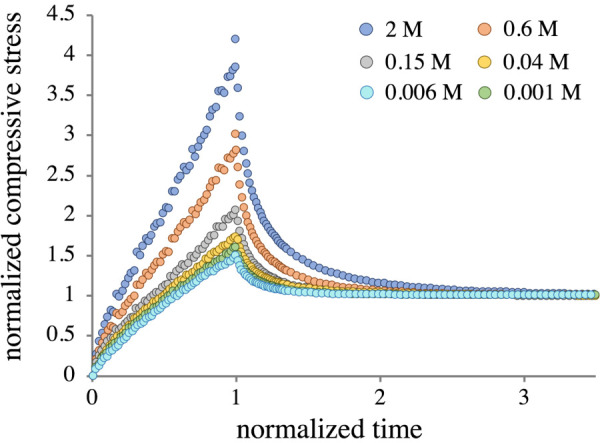 Representative set of normalized stress-relaxation curves for a bovine G1 sample. All samples in all groups displayed very similar normalized behavior.