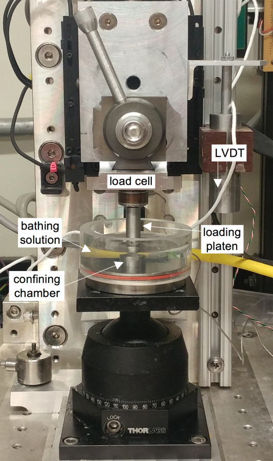 Image of loading device and experimental setup for osmotic swelling experiments