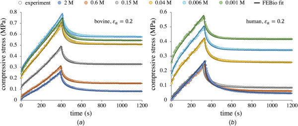 Representative stress-relaxation curves for a bovine G1 sample (a) and a human H1 sample (b), reporting the axial mixture stress σ as per Eq. (2.1). Abscissa is truncated to better detail the ramp phase; all tests were allowed to run until steady-state equilibrium was achieved (see text). Note the differing scales on the ordinate axes between (a) and (b). Symbols denote experimental data; smooth curves show febio curve-fits. Fitting was performed on each curve individually to obtain HA, k0, and m, using sample specific c0F and granular ξ values.