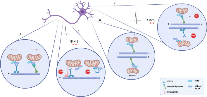 Fig. 2