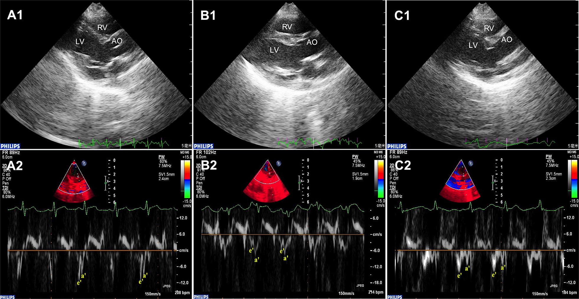 Fig. 1