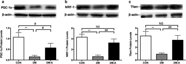 Fig. 6