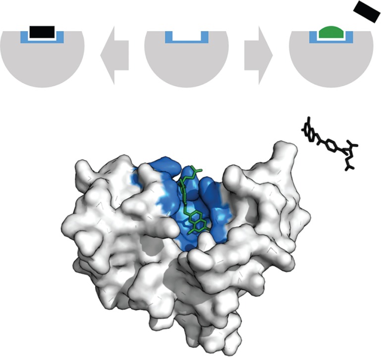 FIGURE 6.