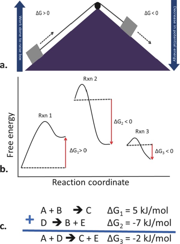 FIGURE 3.