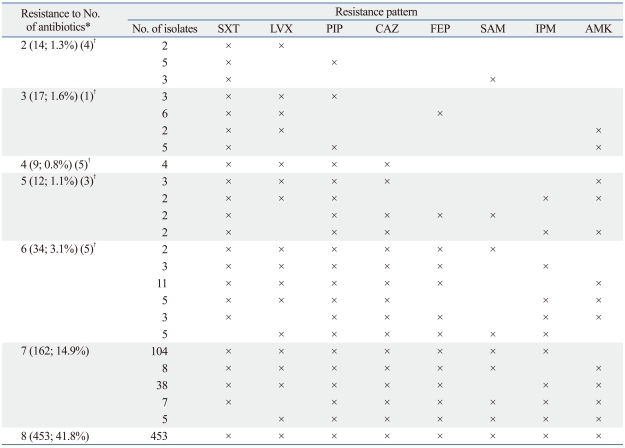 graphic file with name ymj-52-879-i004.jpg