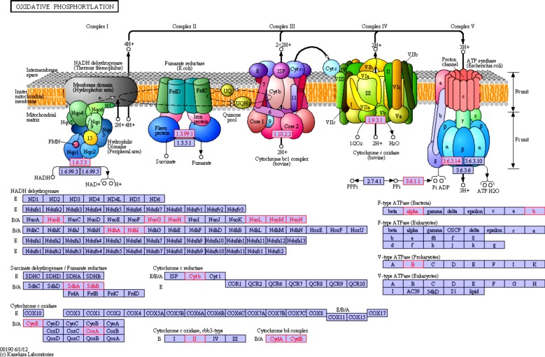 Figure 5.