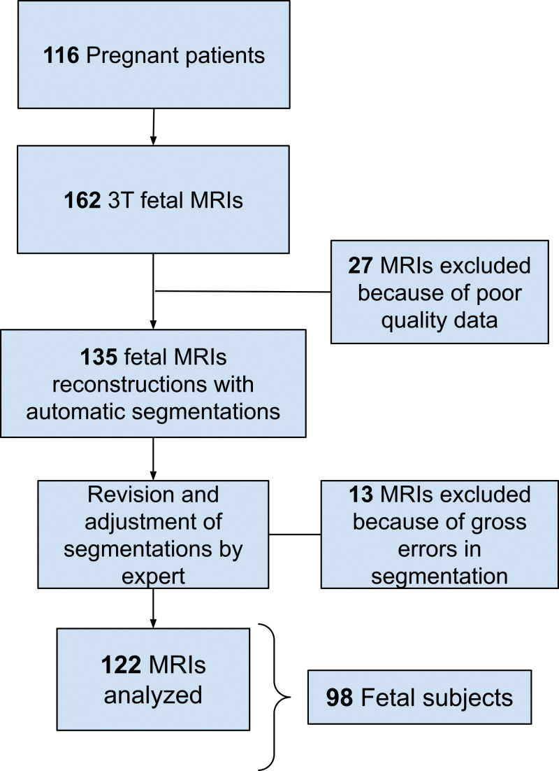 Flowchart of our study sample shows inclusion and exclusion. There was a total of 116 pregnant patients who were imaged, resulting in 162 fetal MRI examinations. Twenty-seven MRI examinations were excluded because of poor-quality data, resulting in 135 MRI examinations that were reconstructed and segmented. Then, 13 MRI examinations were excluded because of gross errors in segmentation, resulting in 122 MRI examinations analyzed (corresponding to 98 fetuses).