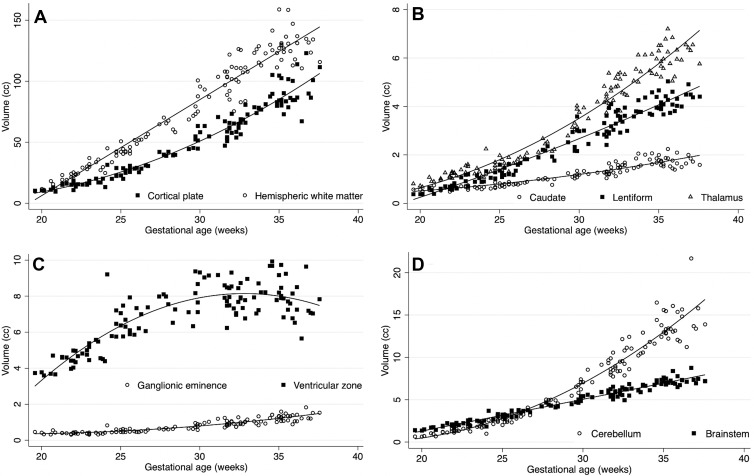 Plots show volumetric age-related change. Age-related change had high variability between the structures evaluated. (A) Cortical plate and hemispheric white matter; (B) the deep gray matter structures: caudate nucleus, lentiform nucleus, and thalamus; (C) the proliferative compartments: ganglionic eminence and ventricular zone; and (D) the cerebellum and brainstem.