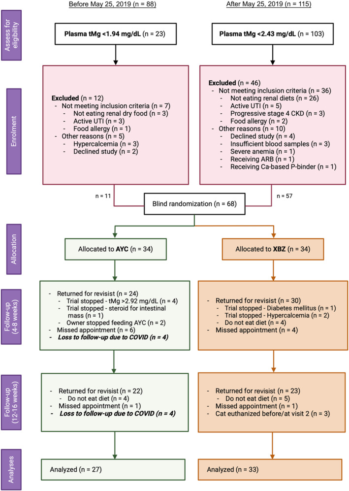 FIGURE 1