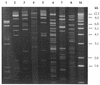 FIG. 7.