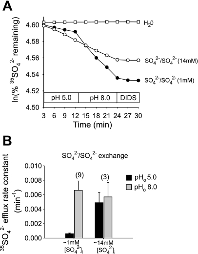 Fig. 9.