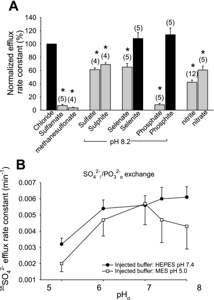 Fig. 10.