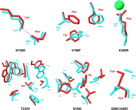 FIGURE 1.