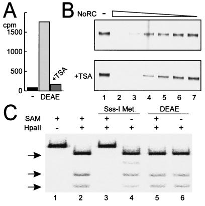 FIG. 7.