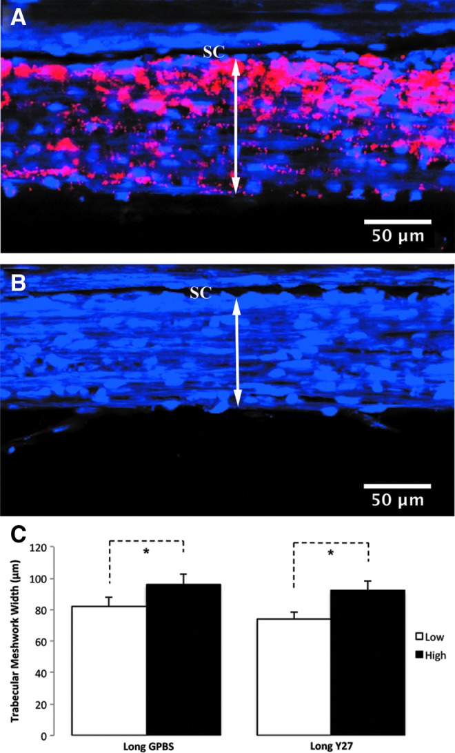 FIG. 10.