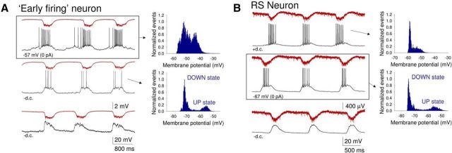 Figure 10.