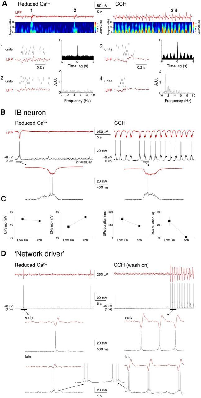 Figure 12.