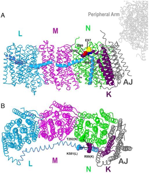 Fig. 1