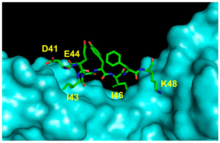 Figure 6