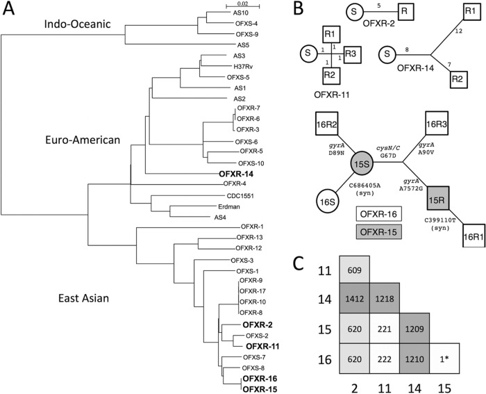 FIG 1