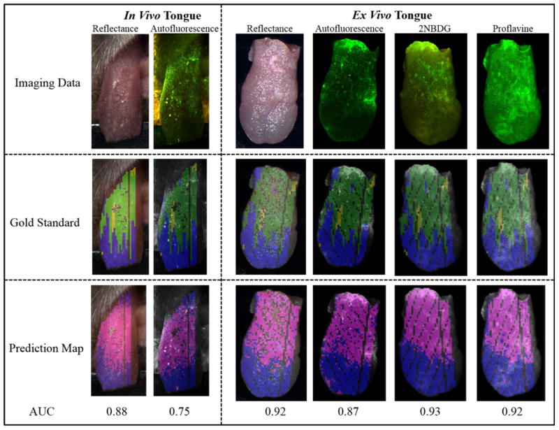 Figure 6