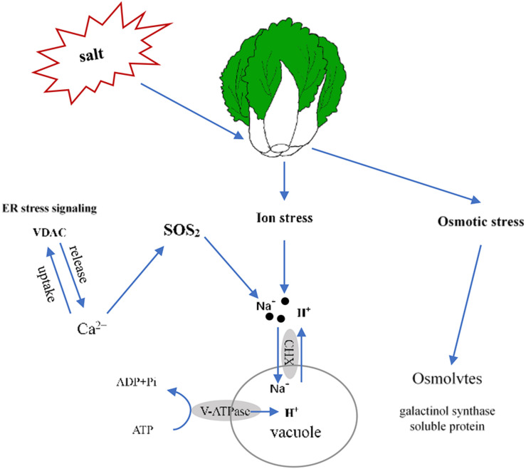 FIGURE 10