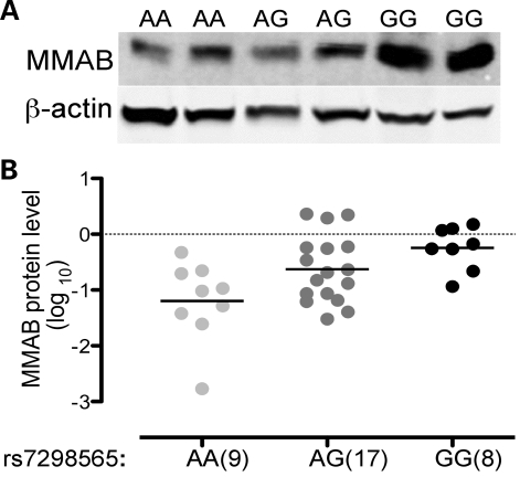 Figure 4.