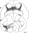 Fig. 10.