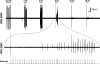 Fig. 14.