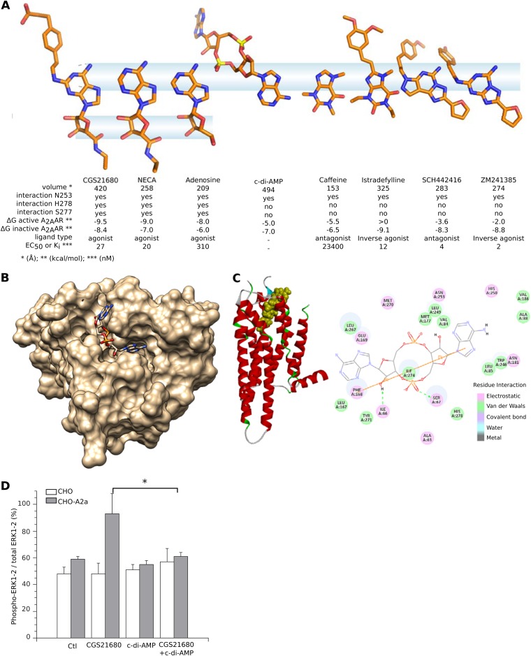 FIG 3