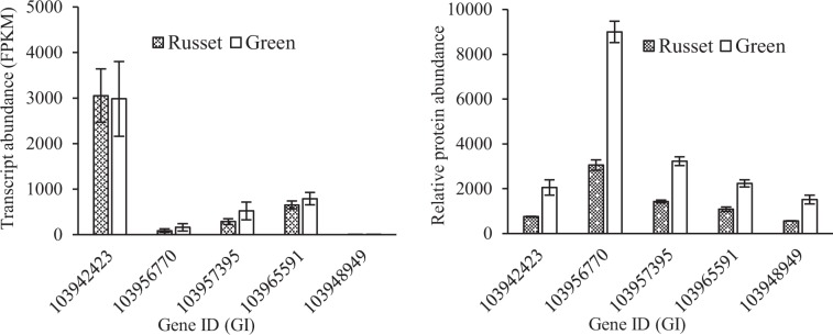 Fig. 11