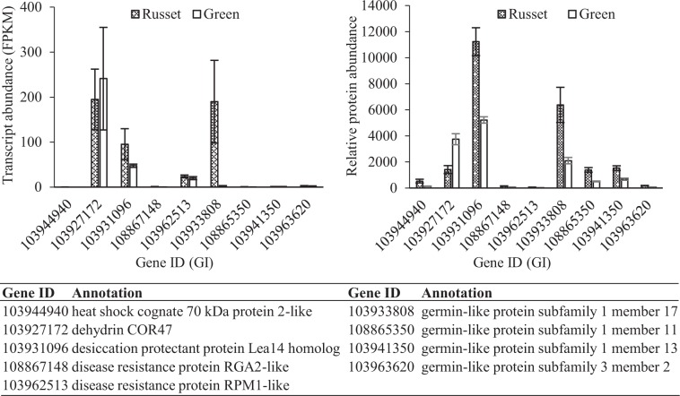 Fig. 10