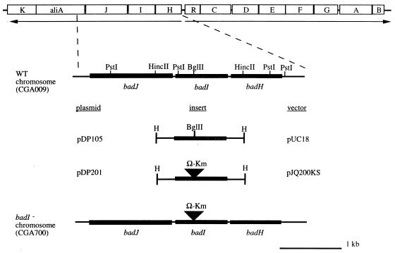 FIG. 5