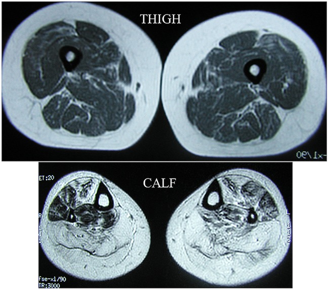 Figure 3