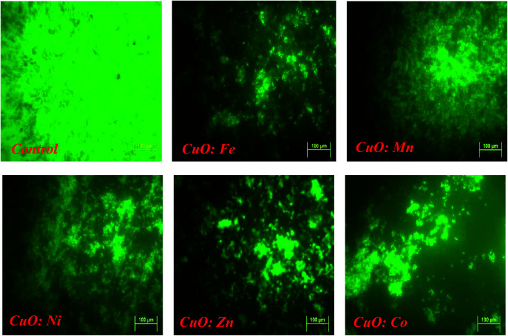 Fig. 11