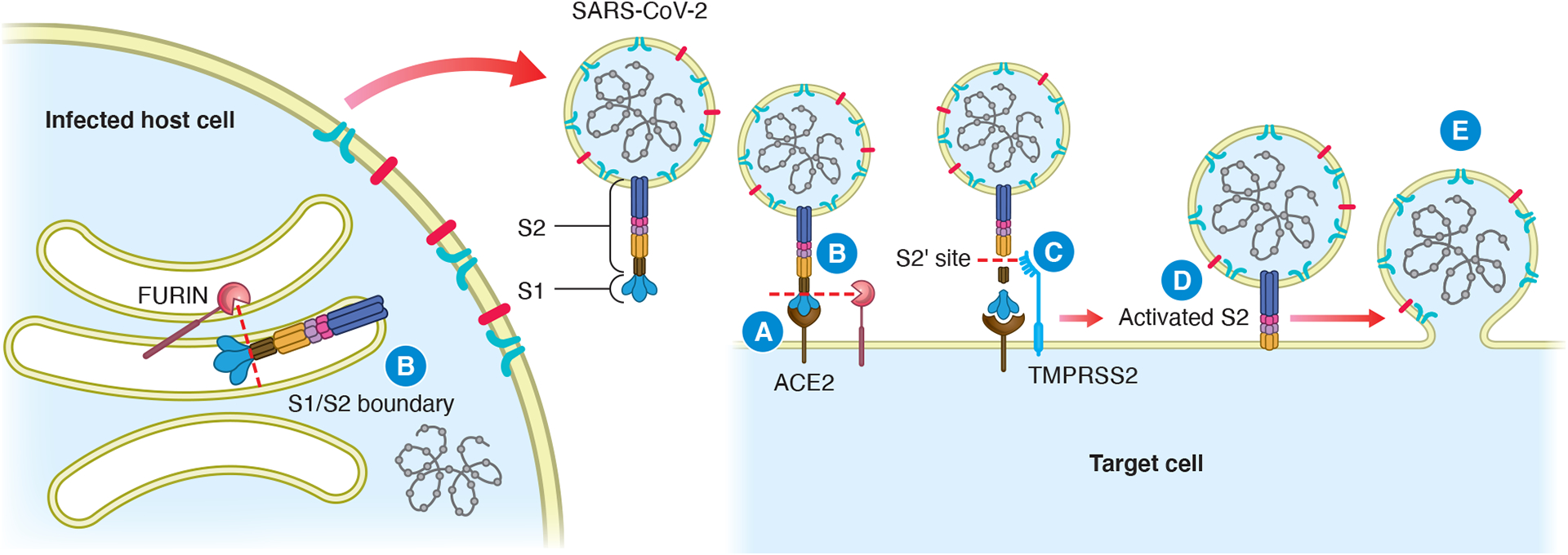 Figure 1: