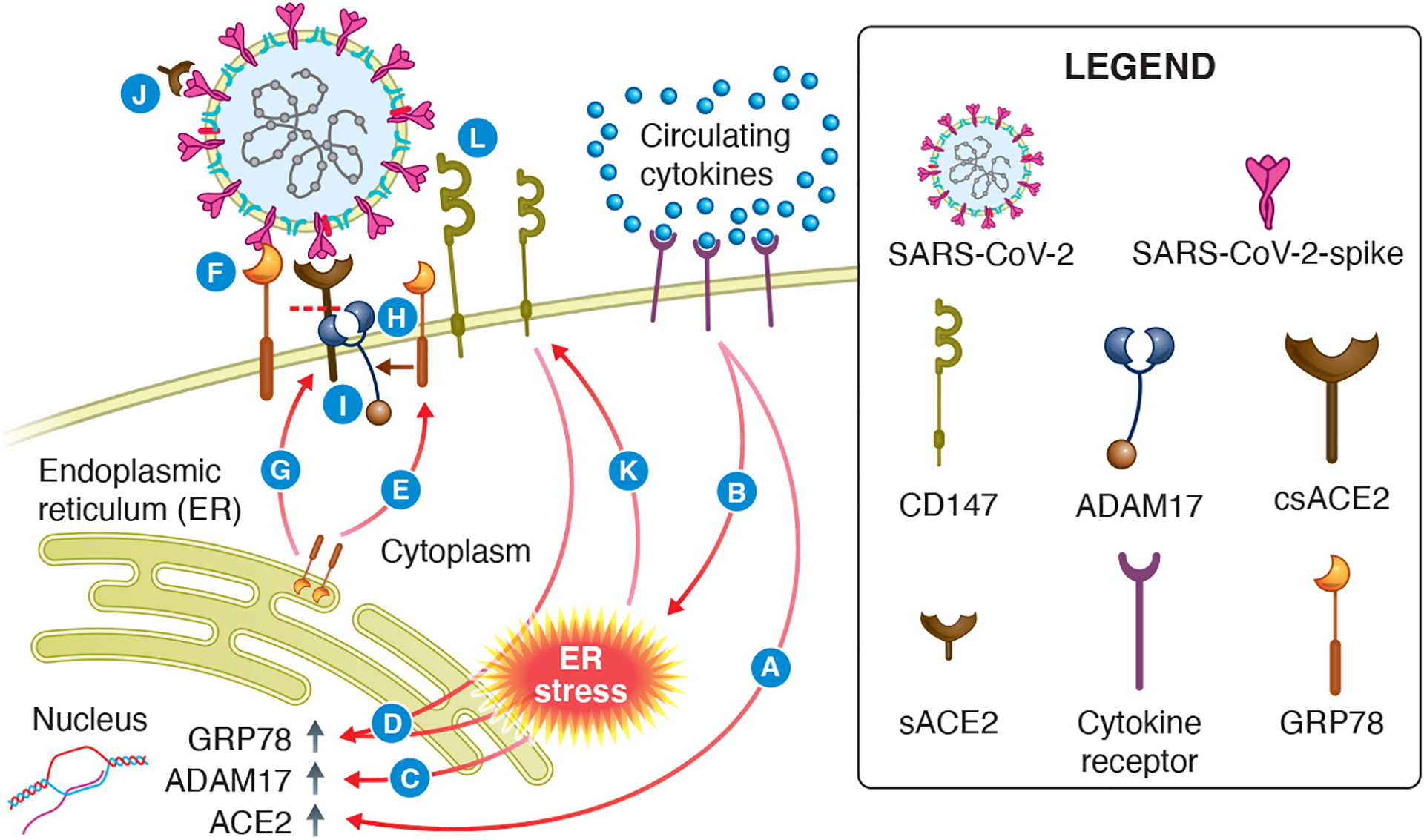 Figure 4: