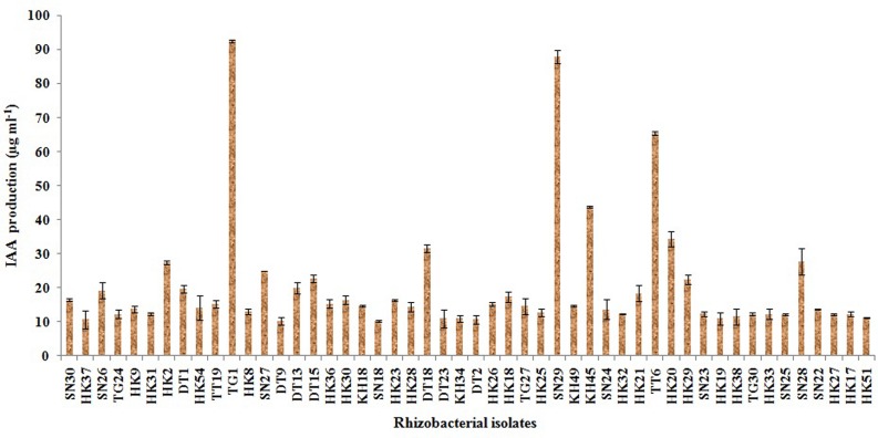 FIGURE 3