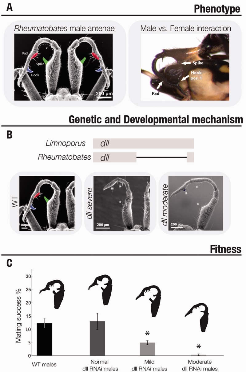 Figure 6.