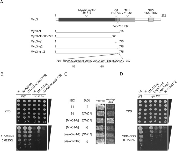 Fig. 2.