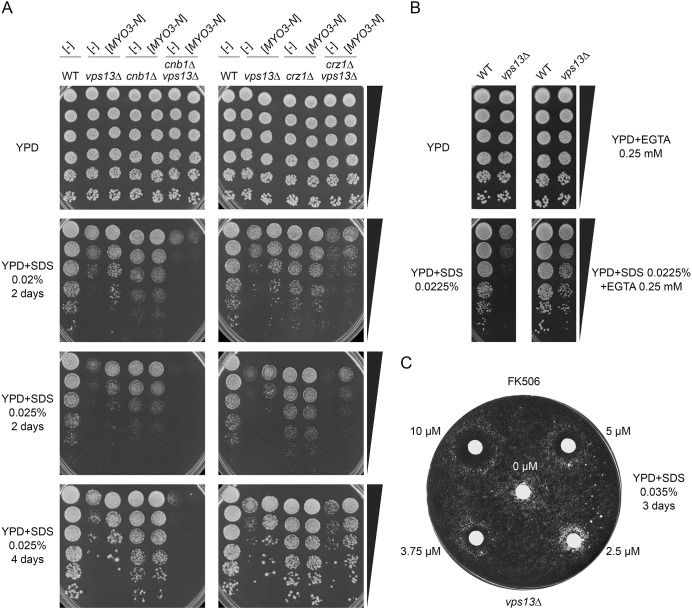 Fig. 4.