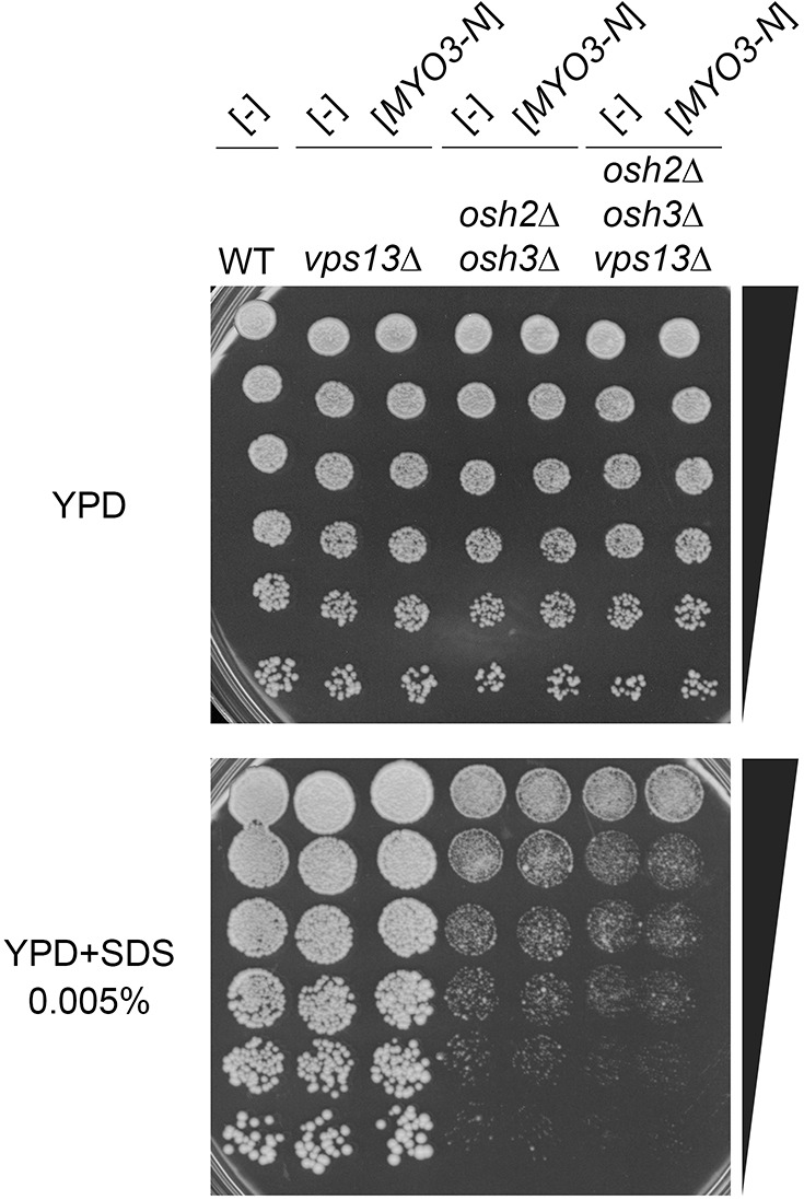 Fig. 8.