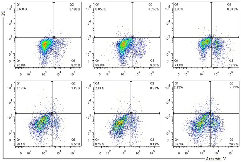 Figure 6