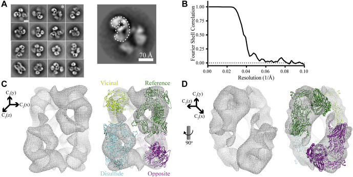 Fig. 1