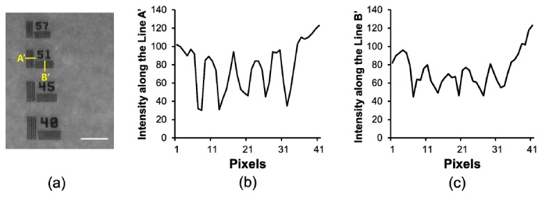 Fig. 7