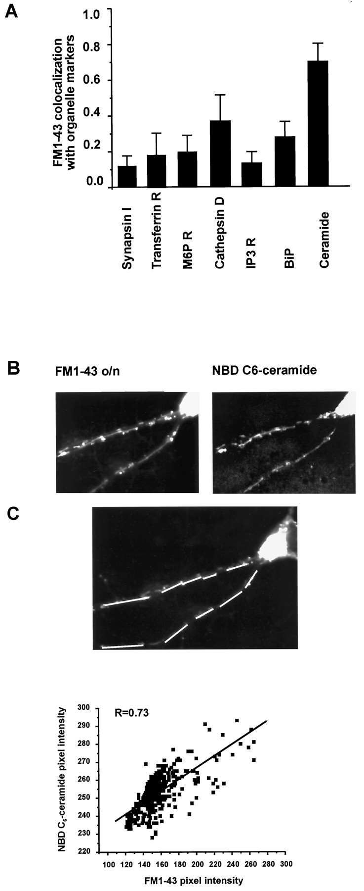 Fig. 3.