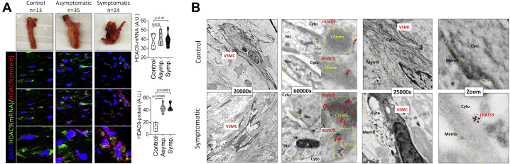 Fig 3