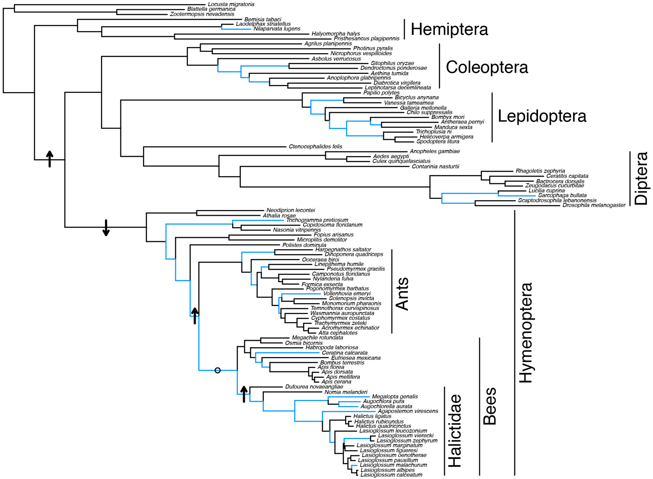 Extended Data Fig. 7: