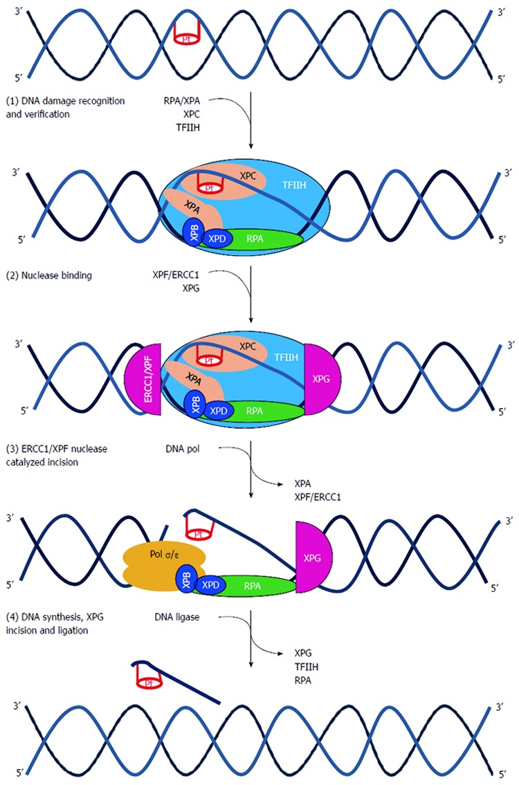 Figure 9