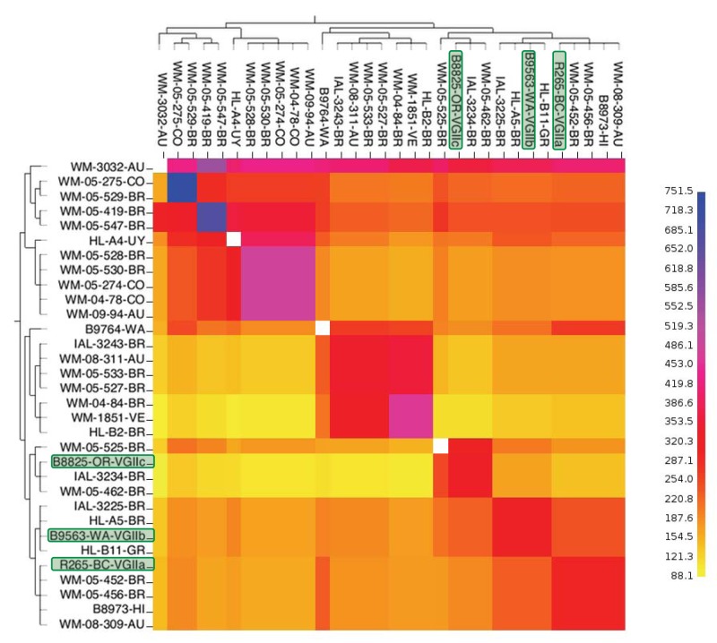 FIG 6 